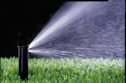 Irrigation Managementin Sacramento