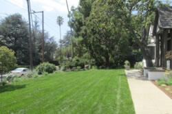 Landscaping Service in Sacramento