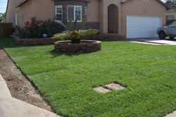 lawns maintenance and installationin Sacramento