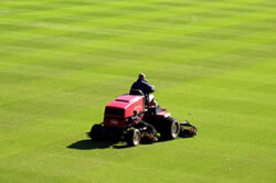 turf maintenancein Sacramento