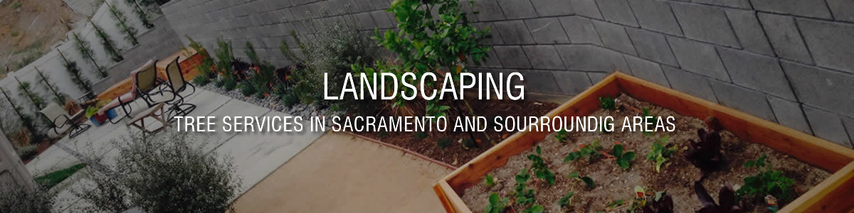 Landscaping Service in Sacramento
