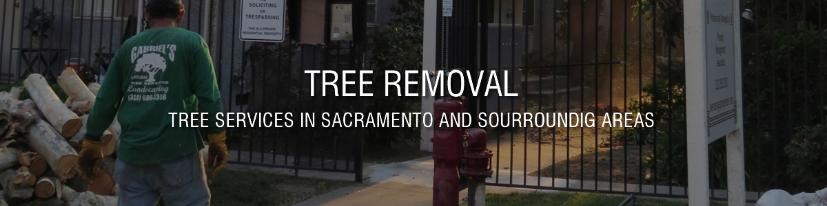Landscaping Service in Sacramento
